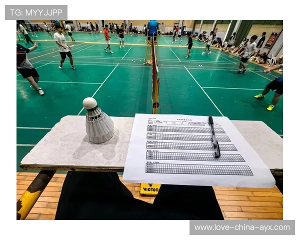 羽毛球比赛回放技术升级，裁判更易做出准确判罚